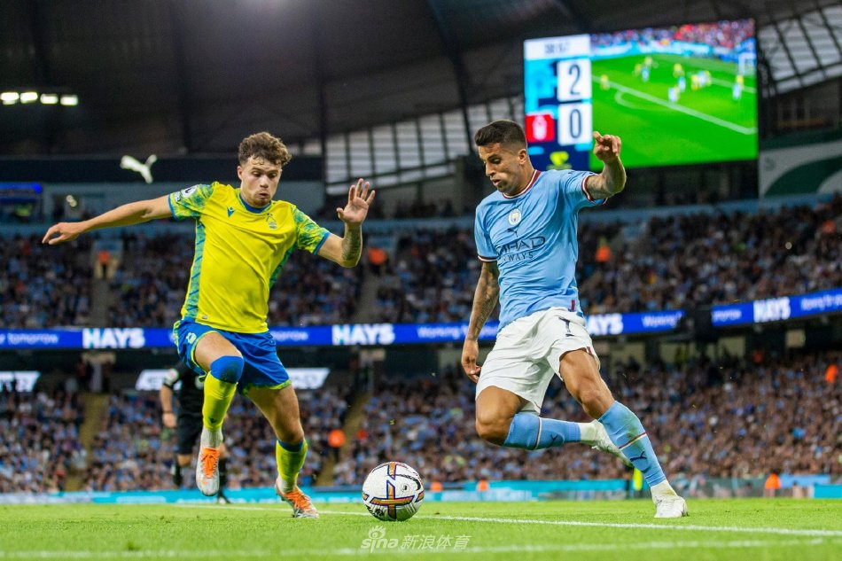 在总结埃里 在总结埃里